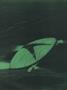 aa