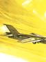 aa