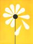 aa