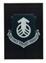 aa