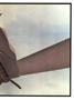 aa