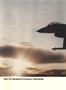 aa