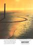 aa