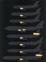 aa