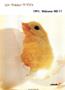 aa
