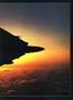 aa
