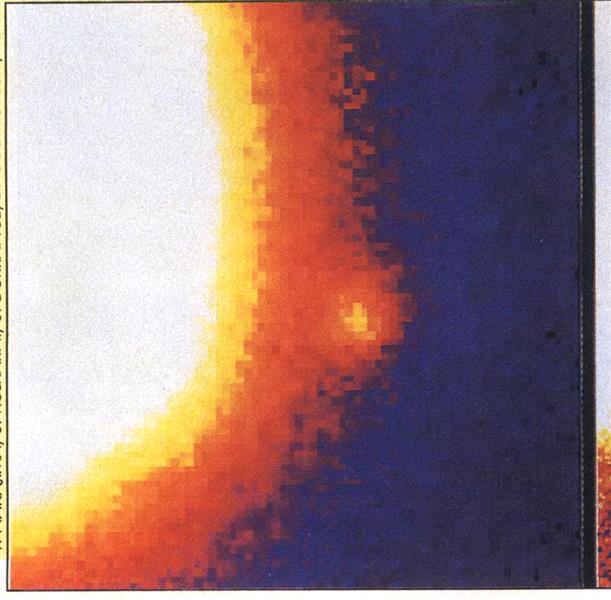 MISSING LINK CAPTURED, Page:  - DECEMBER 4, 1995 | Aviation Week