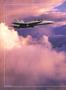 aa