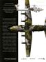 aa