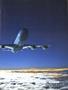 aa