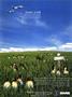 aa