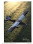 aa