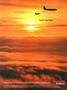 aa