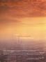 aa