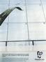 aa