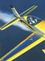 aa