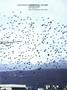 aa
