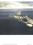aa