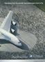 aa