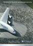 aa
