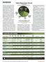 aa